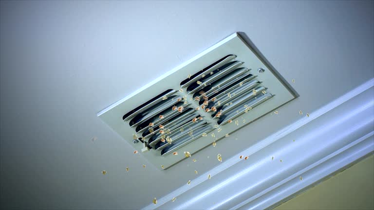 Best General Air Duct Cleaning  in Lechee, AZ